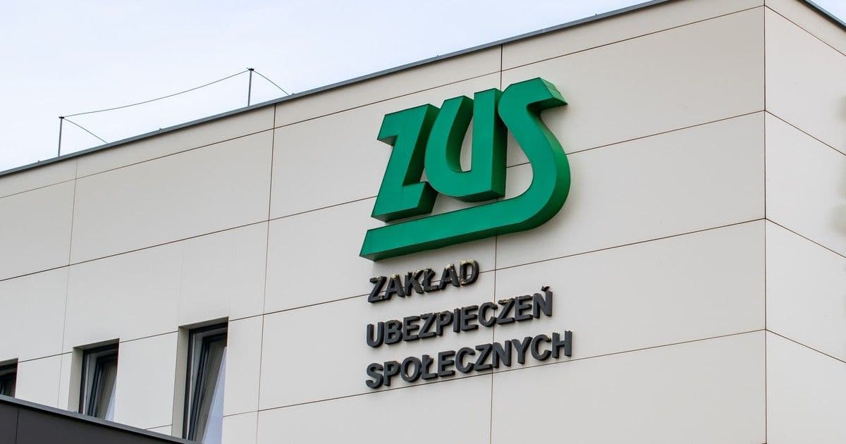 Członek zarządu przeglądający korespondencję z urzędu skarbowego i ZUS w kontekście odpowiedzialności za zaległości publicznoprawne.